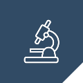Allied Health Providers